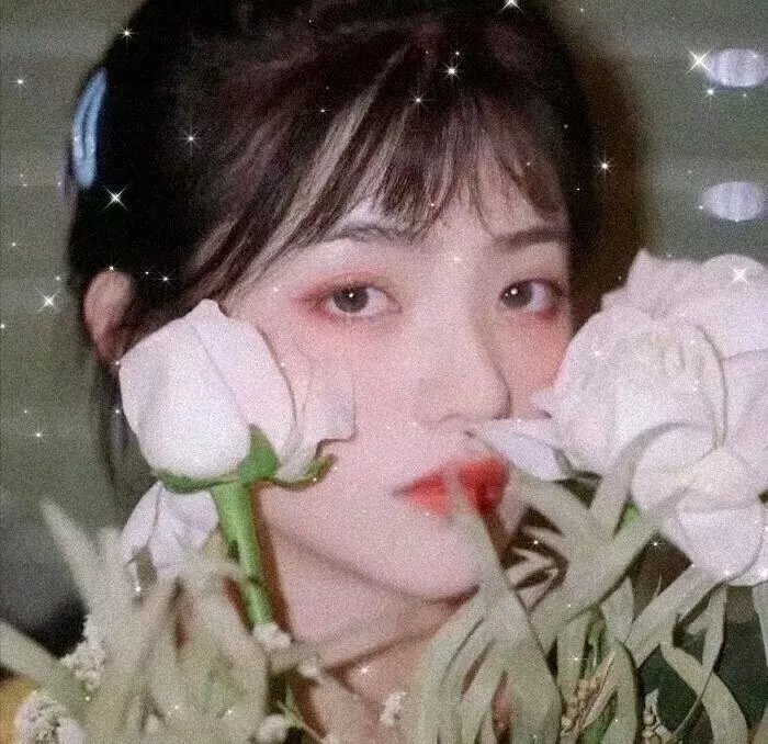 王牌辩护人
